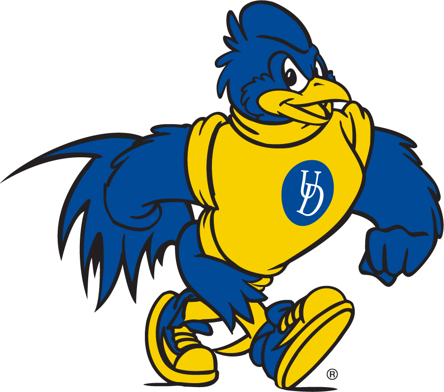 Delaware Blue Hens 2018-Pres Mascot Logo v3 t shirts iron on transfers
